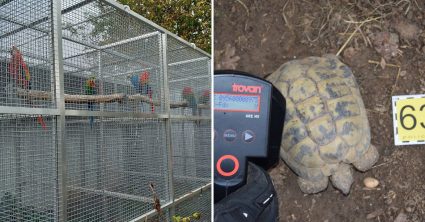 Pozri aj tento článok