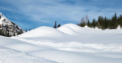 Pozri aj tento článok