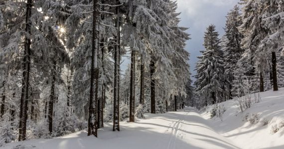 Až 15 centimetrov snehu: Konečne sa na Slovensku dočkáme snehovej nádielky, poriadne prituhne
