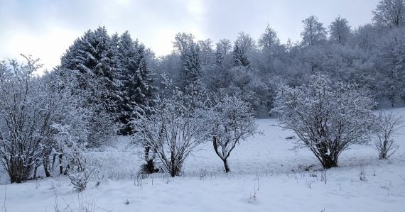Na Slovensku sa prepisovali rekordy: Vieme, či príde vlna ochladenia pred Vianocami. Pripravte si rukavice