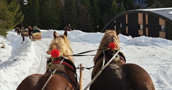 Tatry dostali unikátnu atrakciu, aká sa len tak nevidí: Pre turistov pôjde o jedinečný zážitok
