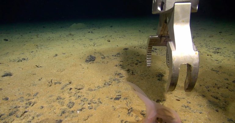 prieskum dna oceánu