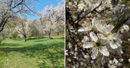 Navštívili sme jeden z najkrajších kútov Slovenska: Ukrýva unikát ako z rozprávky, je zadarmo