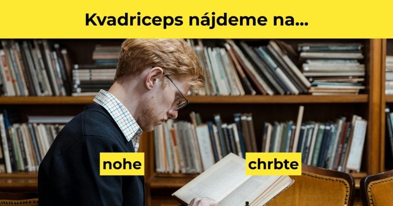 kvadriceps
