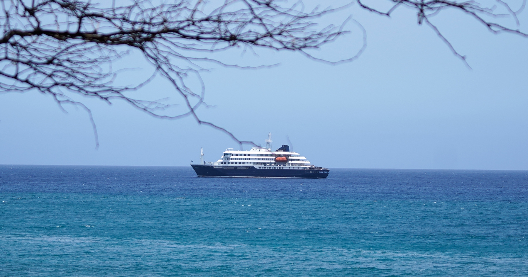 mv hondius