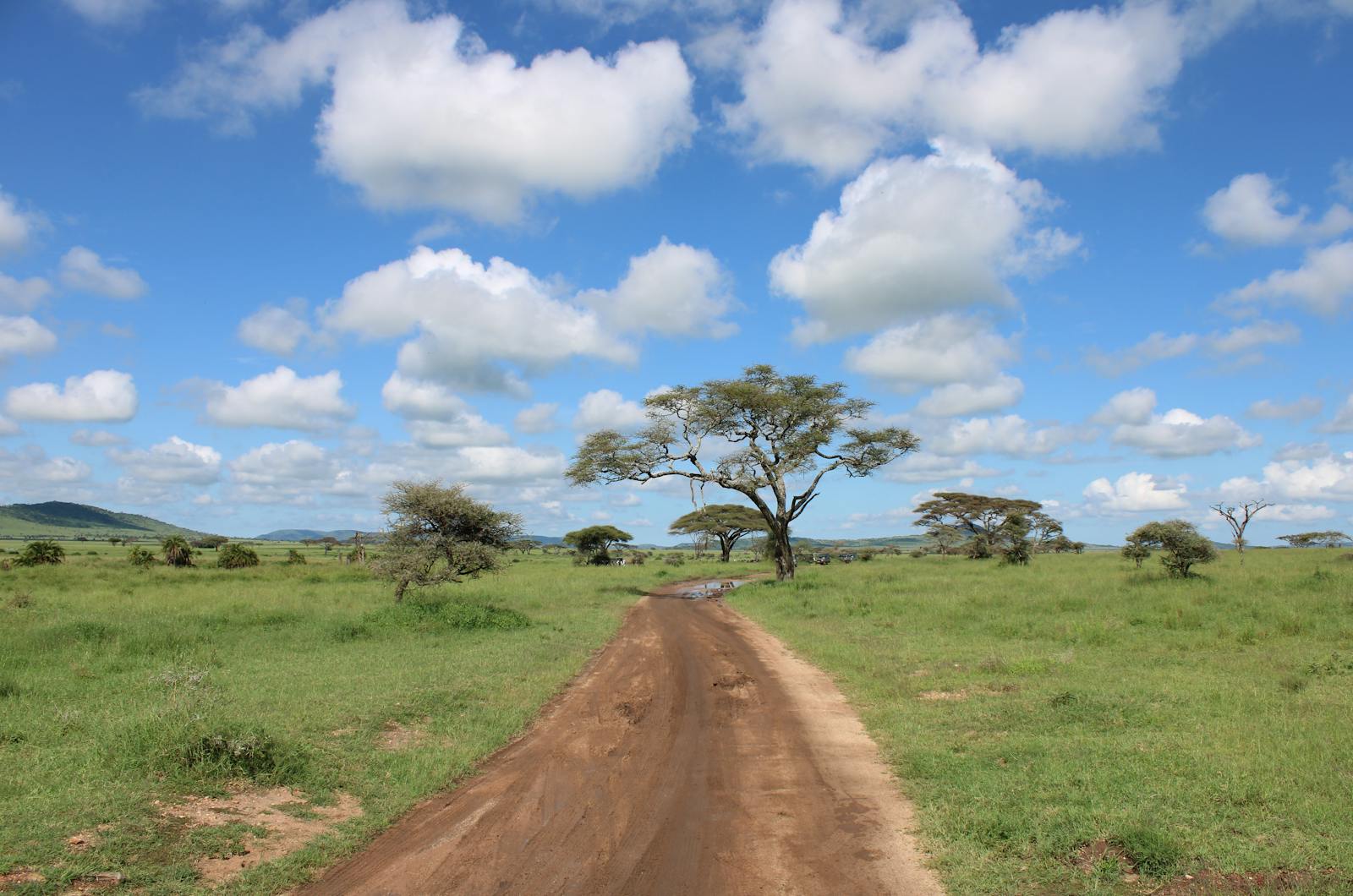 tanzania