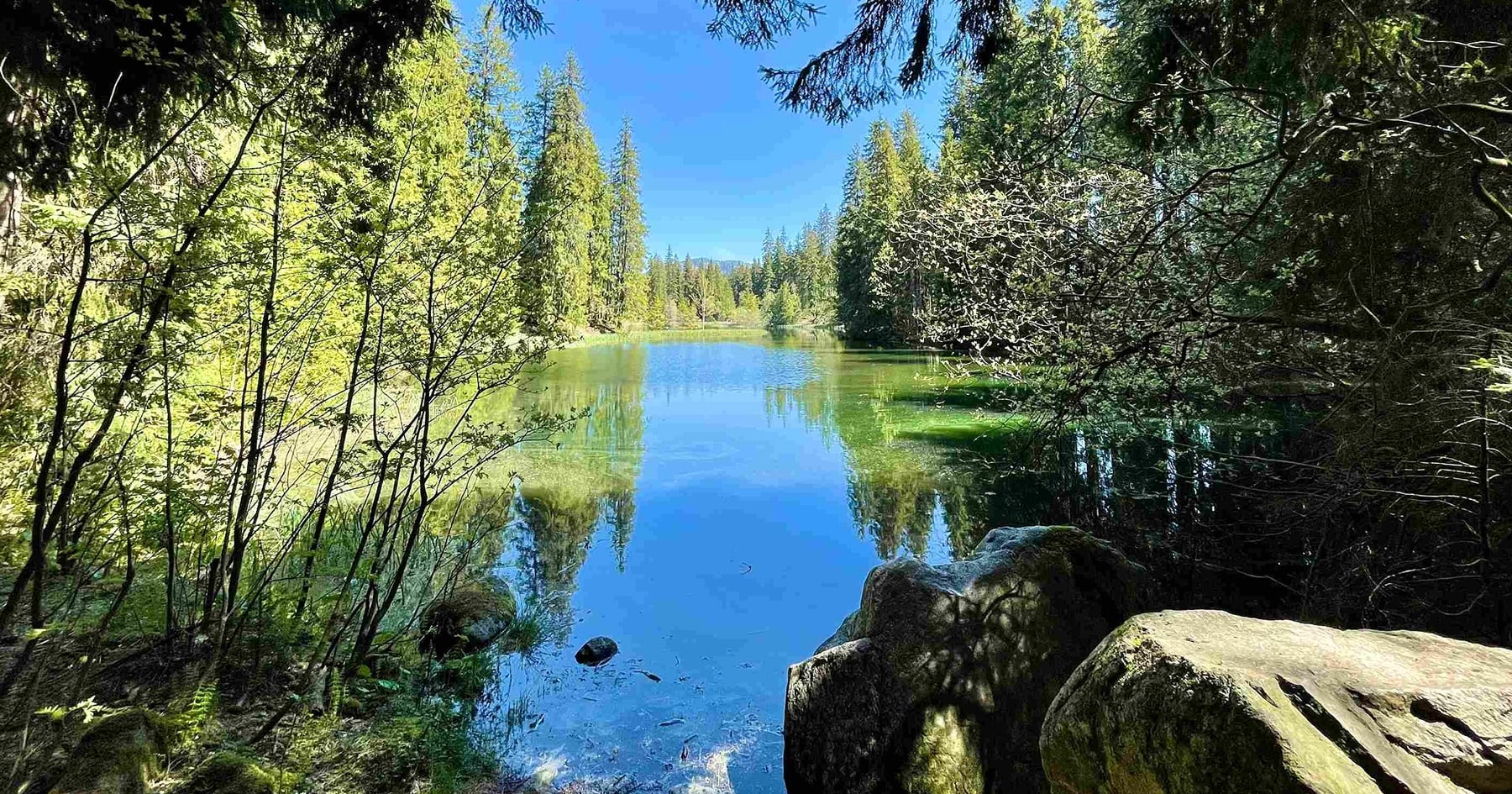 Vrbické pleso