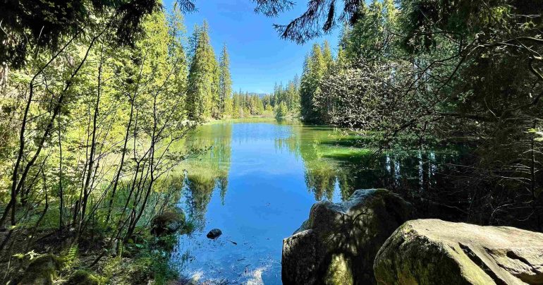 Vrbické pleso