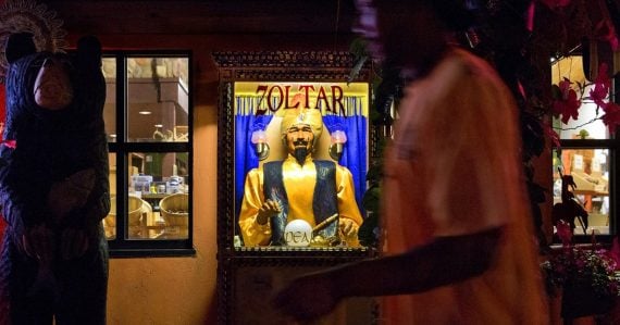 zoltar