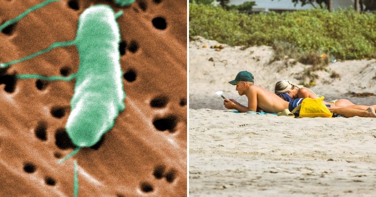 Vibrio vulnificus ohrozuje ľudí na pláži