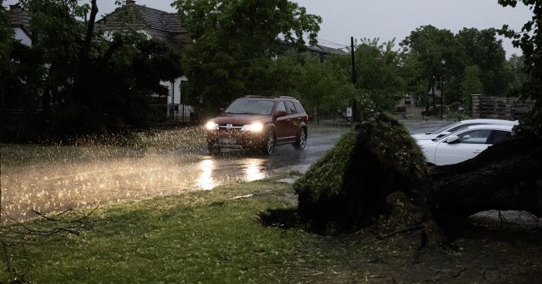 Vyvrátený strom po búrke v obci Slovenský Grob v okrese Pezinok
