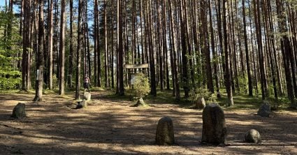 Našli sme tajomné kruhy v lese. Mohli byť dejiskom obradov, neďaleko sa nachádza nádherné jazero