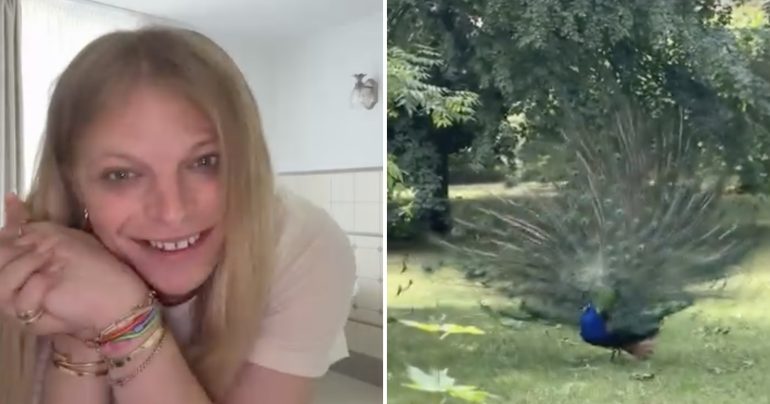 Americká influencerka Gwen McMullen, páv