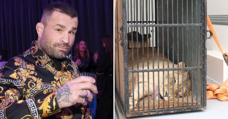 MMA zápasník Karlos Vémola a jeho levica Elsa