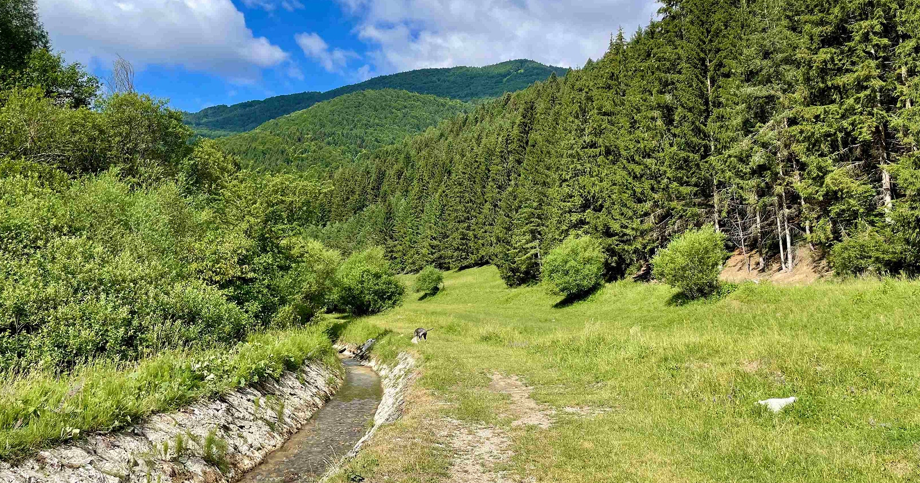 Čutkovská dolina