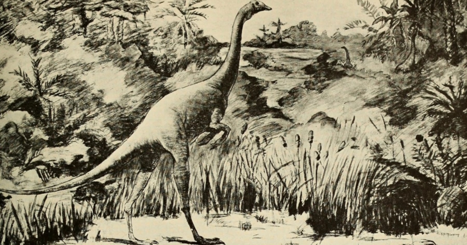 Dinosaurus