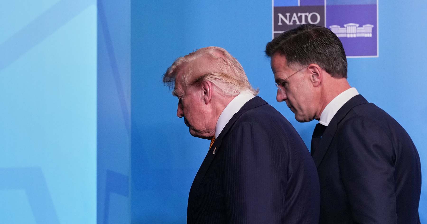 Donald Trump v Ankare
