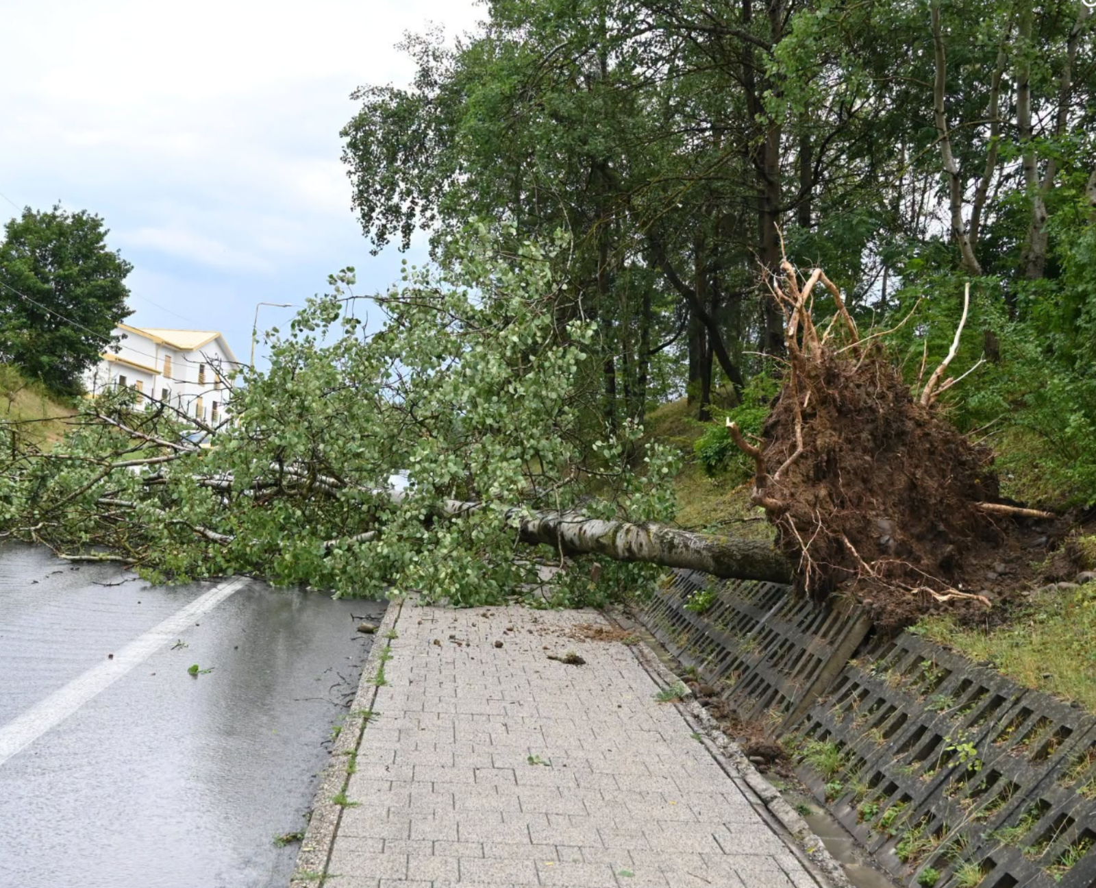 Následky búrky v Humennom
