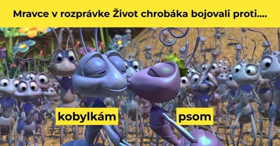 Záber z filmu Život chrobáka