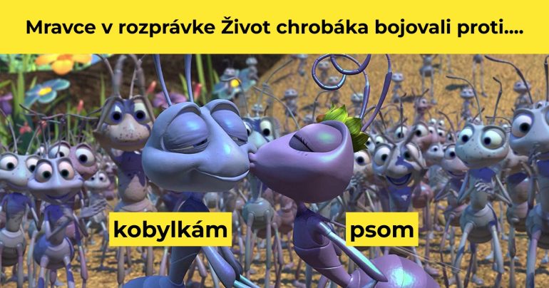Záber z filmu Život chrobáka