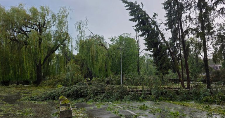 Následky búrky, ktorá sa prehnala Prešovom