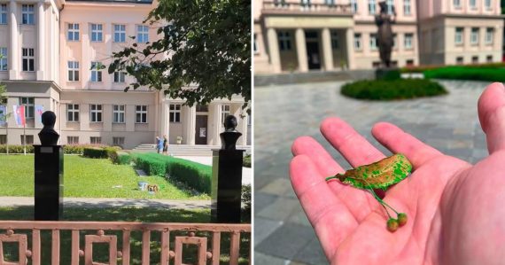 Kríky pred budovou Matice slovenskej boli nasprejované na zeleno