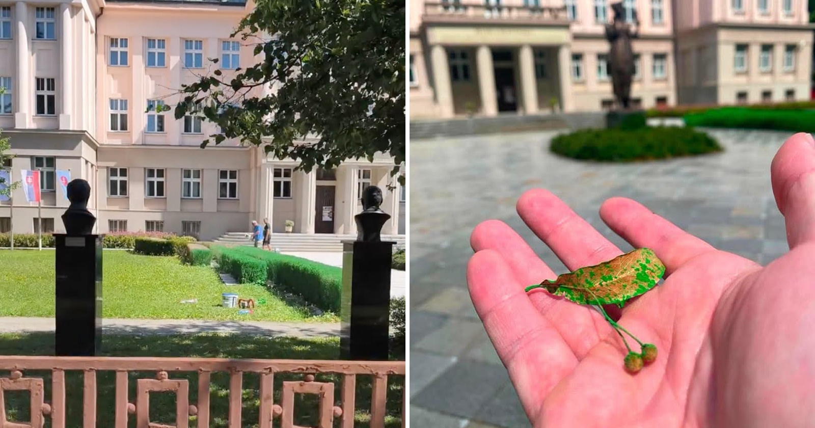 Kríky pred budovou Matice slovenskej boli nasprejované na zeleno