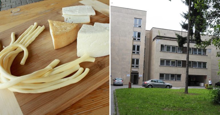 Rôzne typy syrov na drevenom podnose a fakultná nemocnica s poliklinikou v Žiline