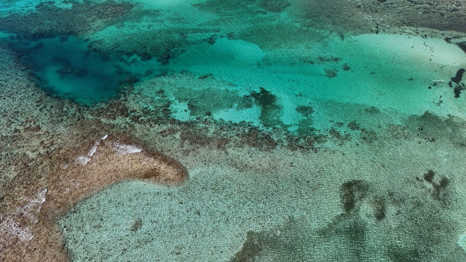 Oceán