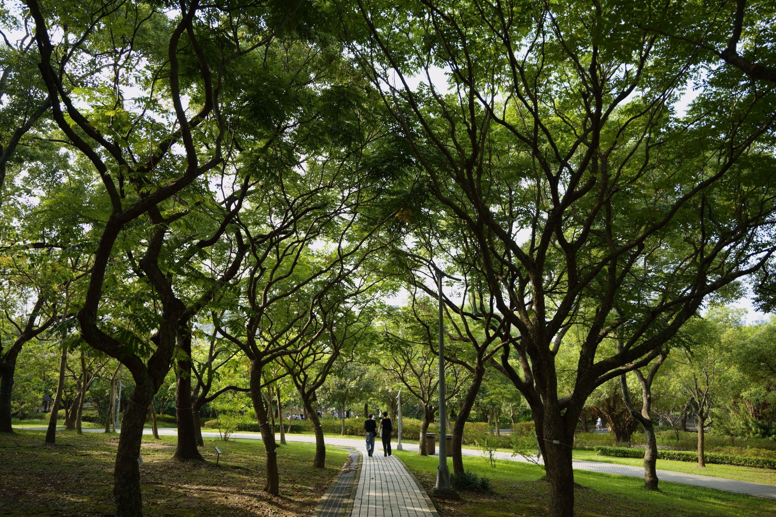 Park