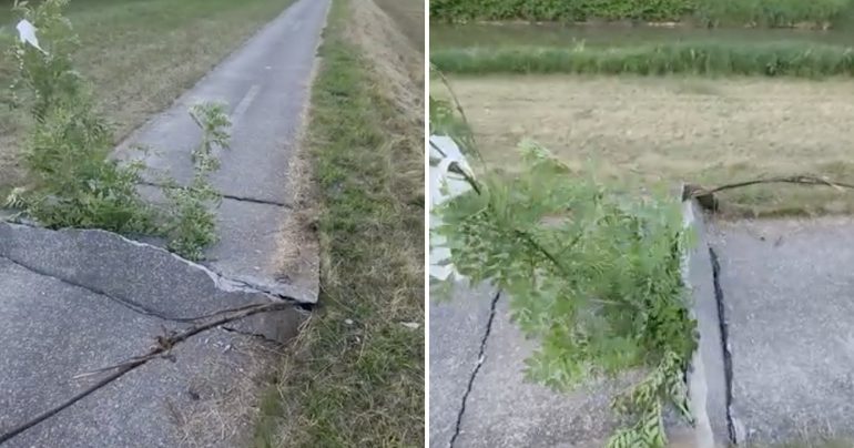 Cesta, ktorú zničili horúčavy