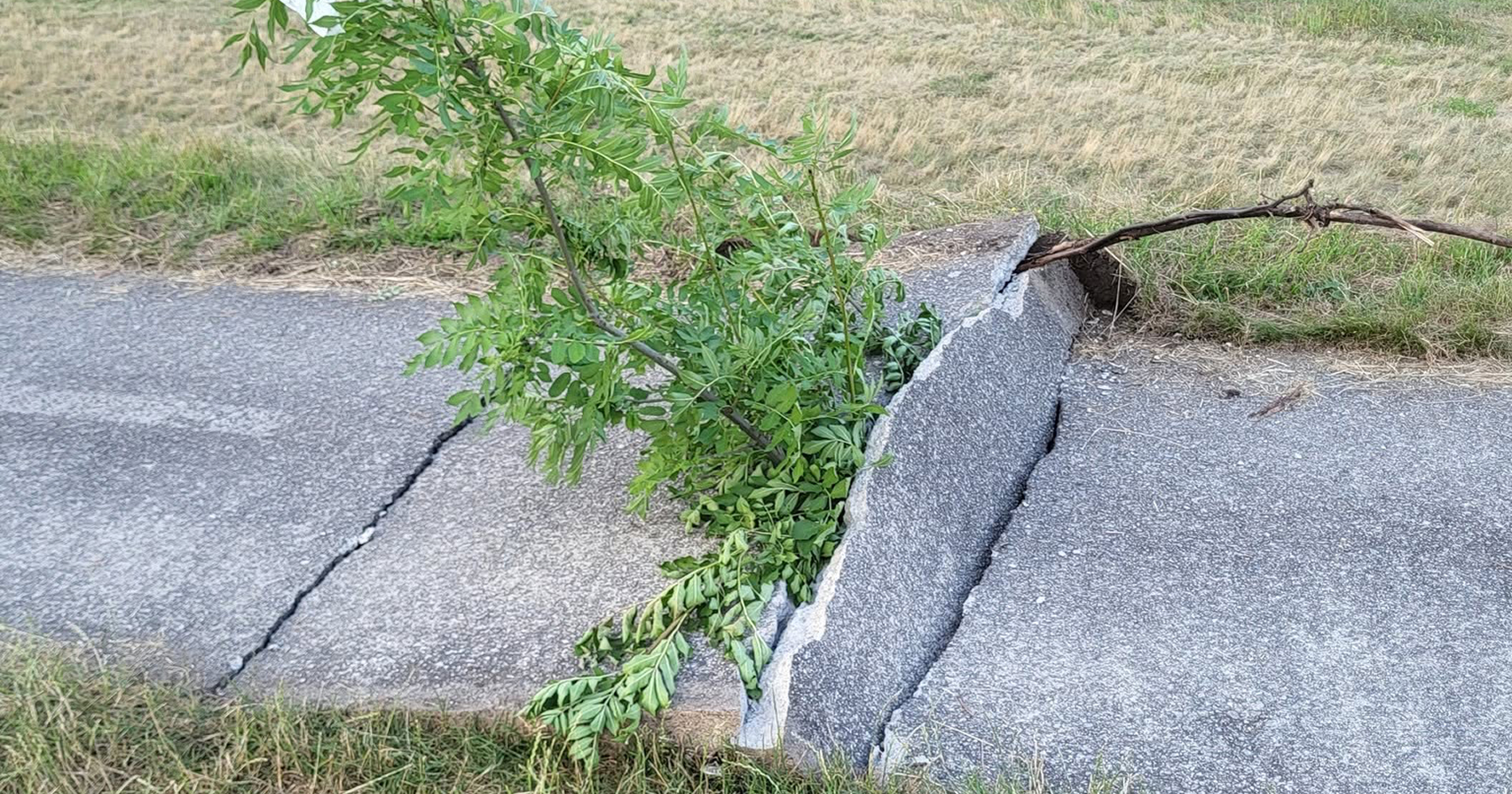 Cesta, ktorú zničili horúčavy