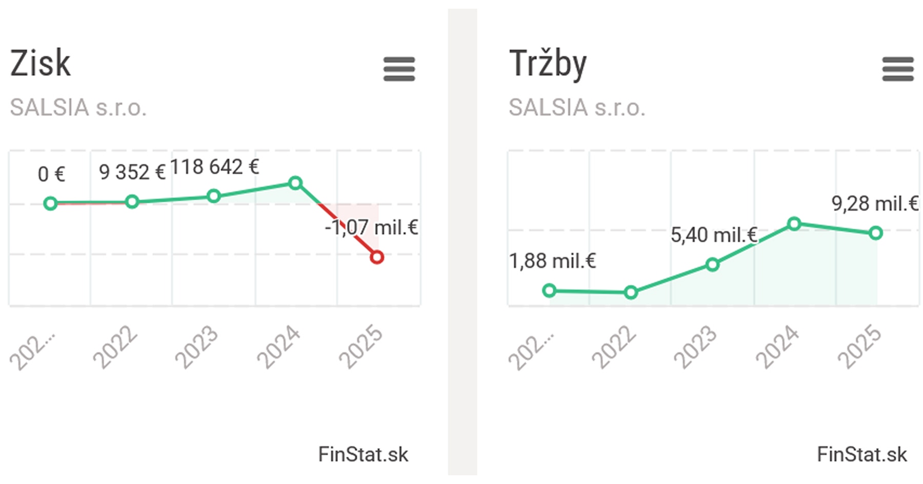 Výsledky hospodárenia firmy Salsia