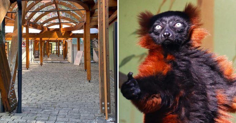 Záber na zoo Bojnice a na strateného lemura