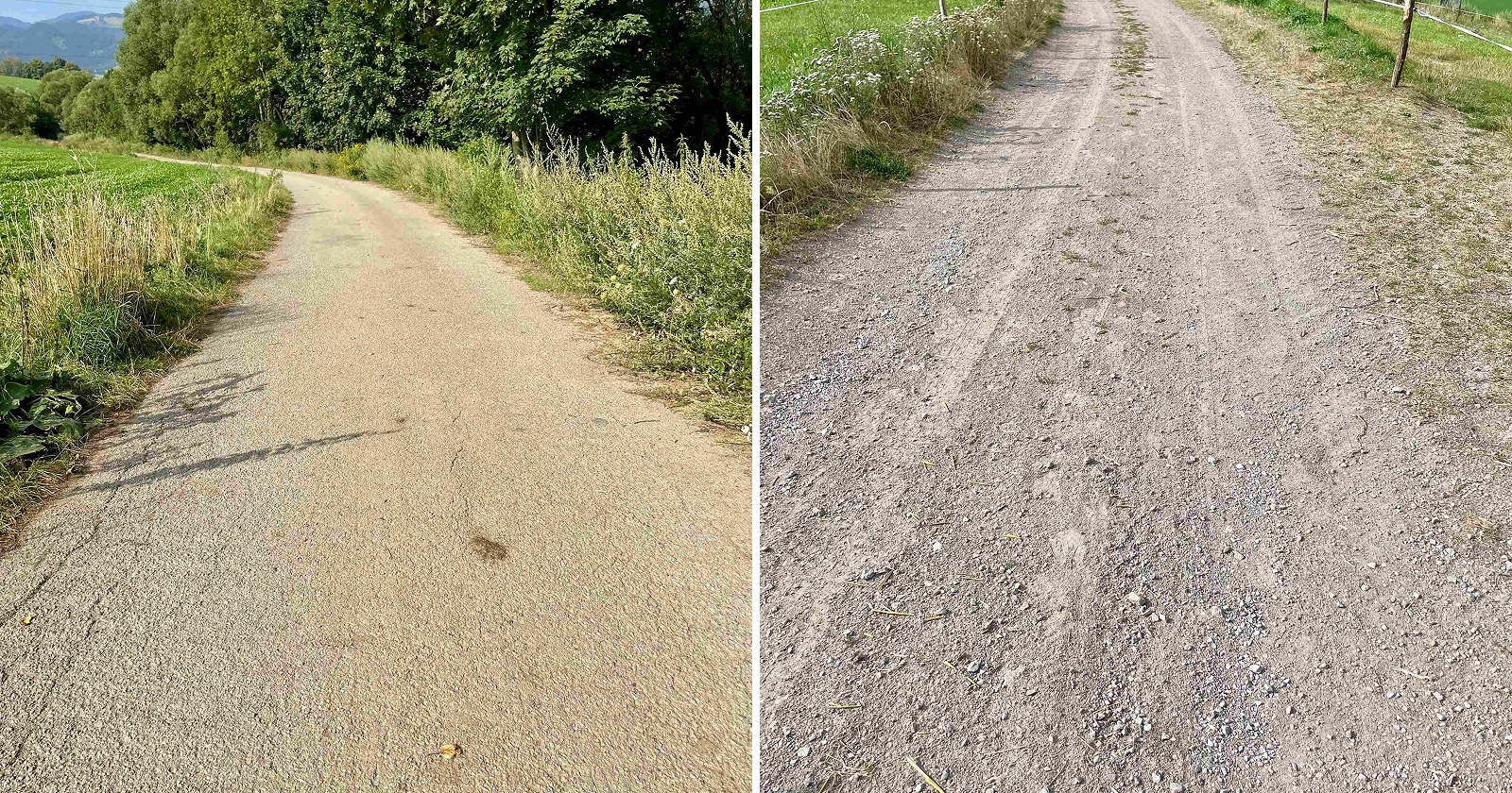 Cesta v doline Žabovo