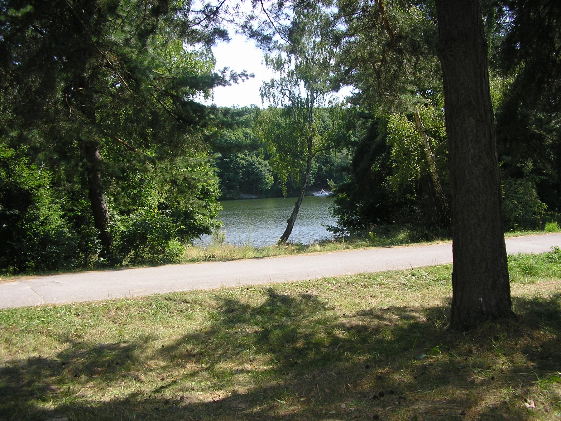 Duchonka