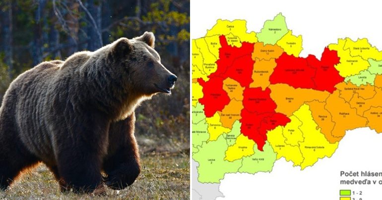 Medveď a mapa výskytu