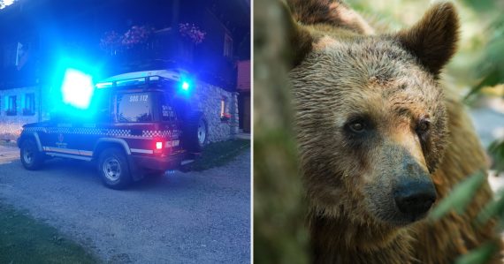 Horská záchranná služba a medveď