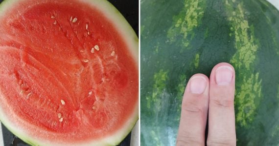 Melón