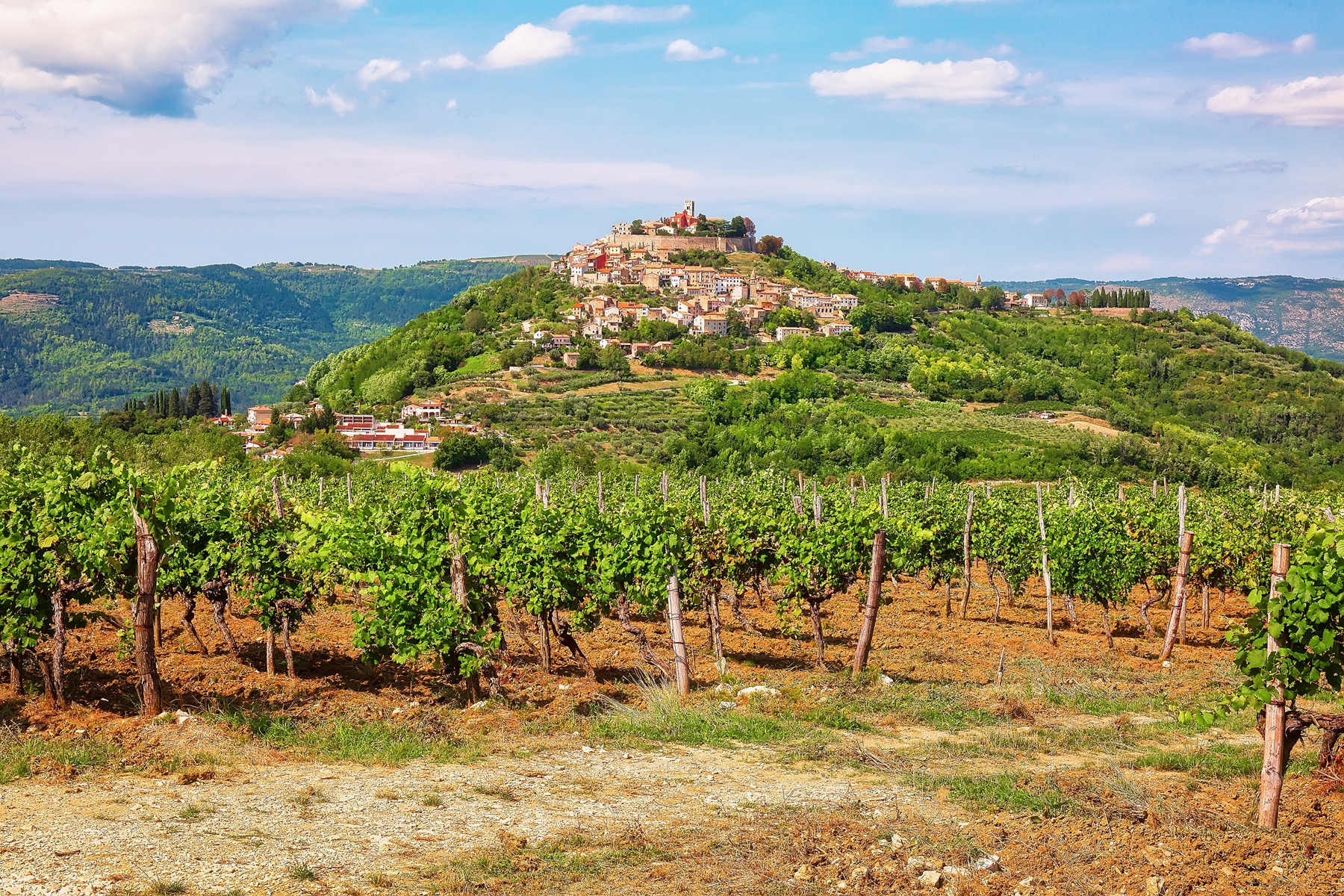 Motovun v Chorvátsku