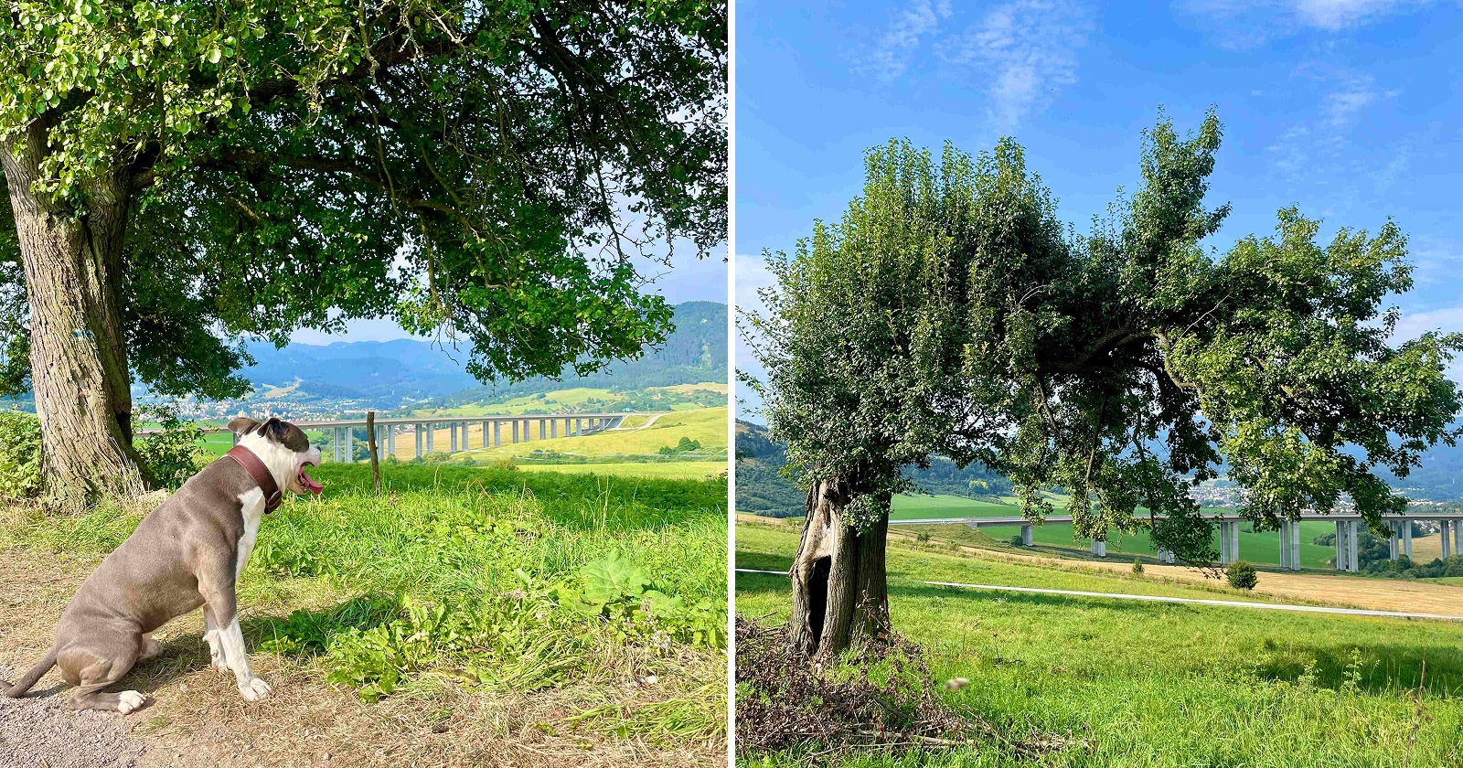 Výhľady v doline Žabovo