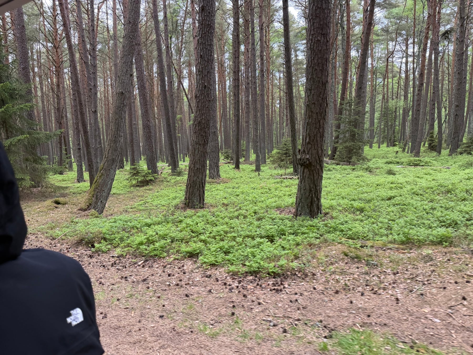 Poľská Sahara a pláž