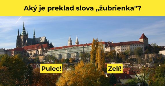 Kvíz český jazyk