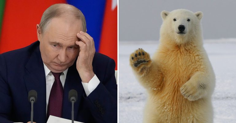 Zamyslený Putin a mávajúci ľadový medveď