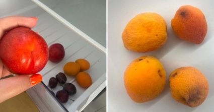Najlepšie miesto na skladovanie ovocia: Otestovali sme tri druhy a zistili, kde vám zhnijú najskôr