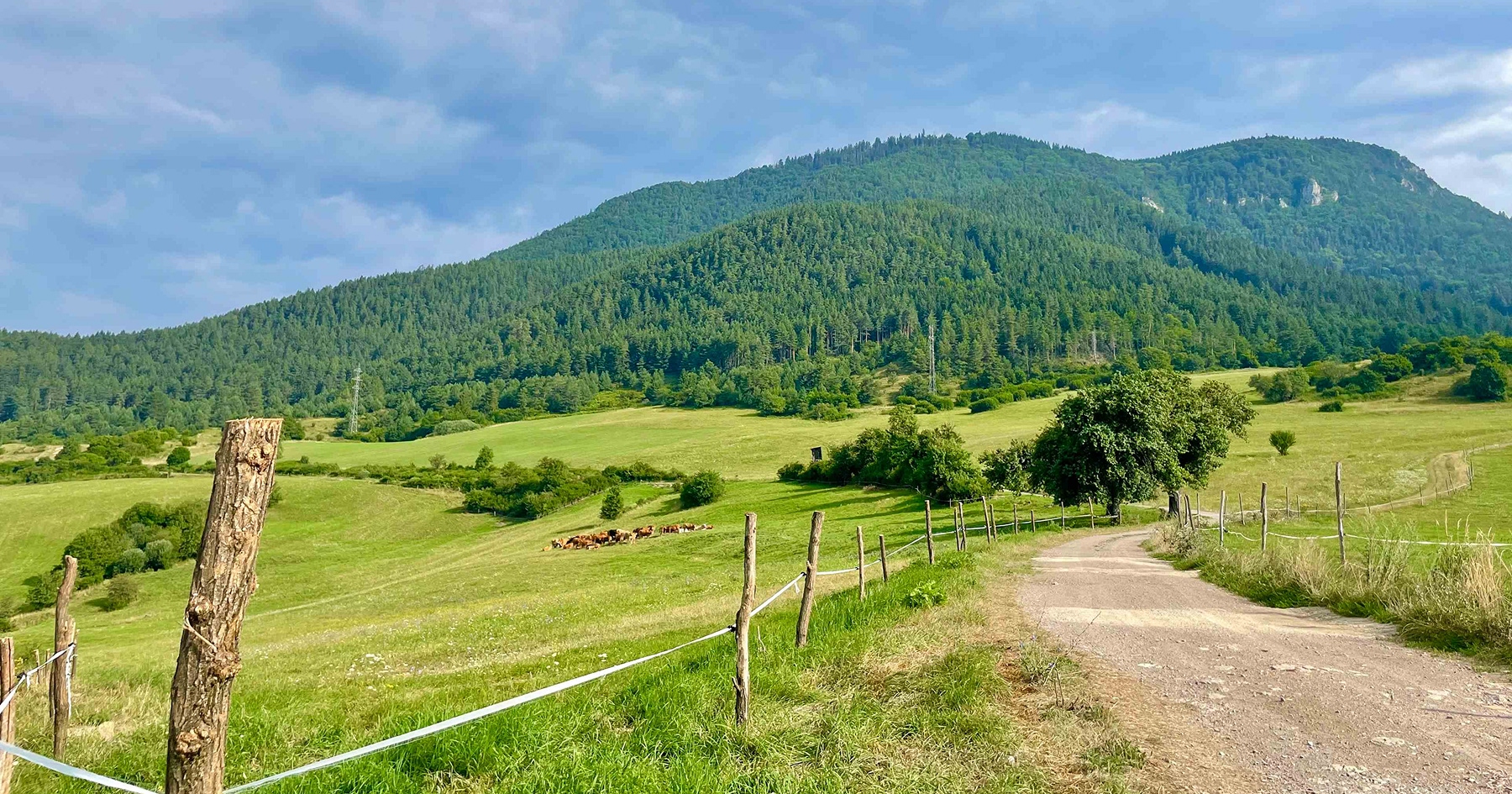 Výhľad na vrch Choč z doliny Žabovo