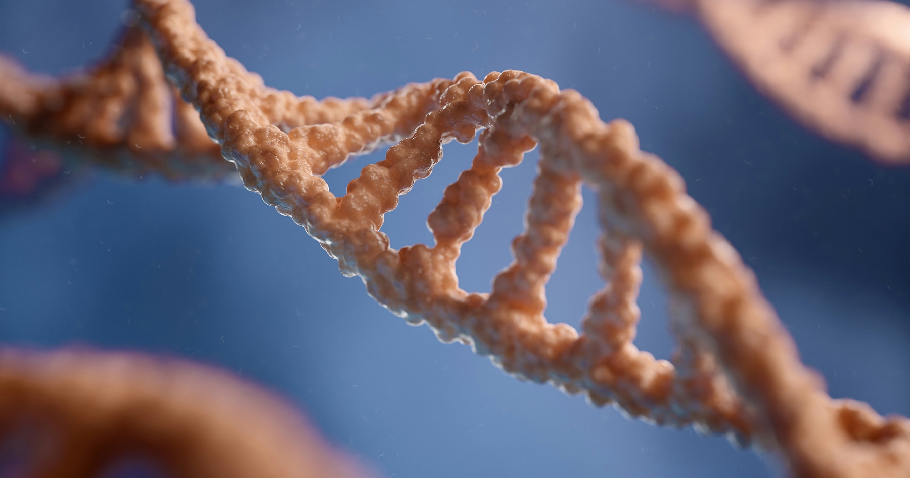 Molekula DNA