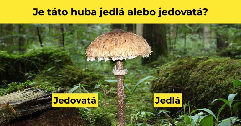 Je to jedlá alebo jedovatá huba?