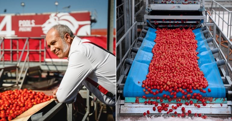 Francesco Mutti pri výrobe paradajkových produktov
