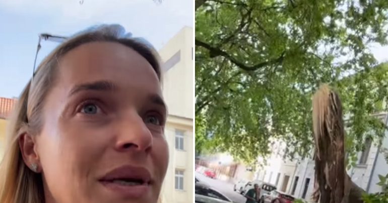 Romana Tabak a spadnutý konár